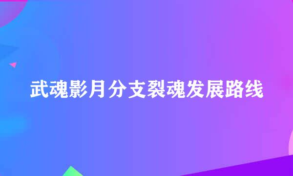 武魂影月分支裂魂发展路线