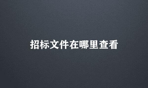 招标文件在哪里查看