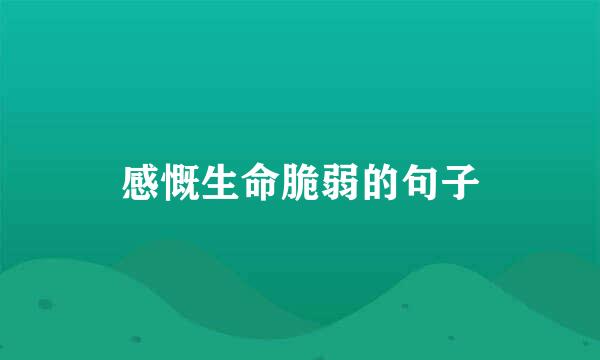感慨生命脆弱的句子