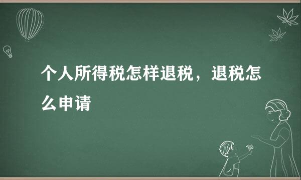 个人所得税怎样退税，退税怎么申请