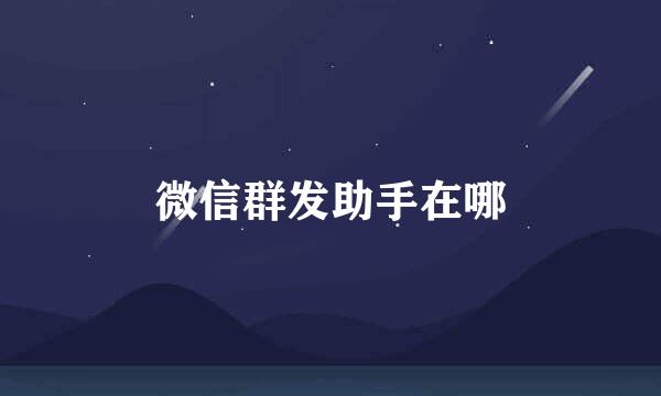 微信群发助手在哪
