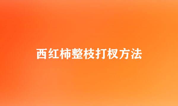 西红柿整枝打杈方法