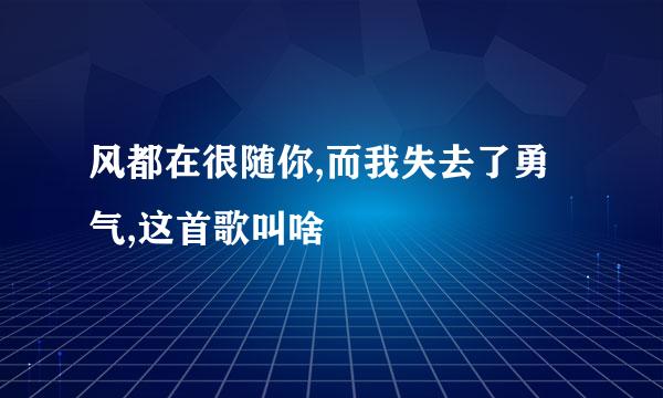 风都在很随你,而我失去了勇气,这首歌叫啥