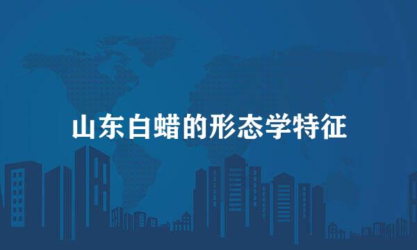 山东白蜡的形态学特征