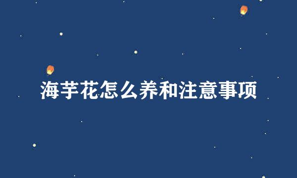 海芋花怎么养和注意事项