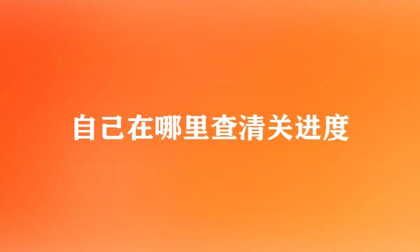 自己在哪里查清关进度