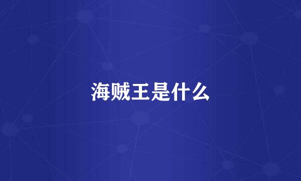 海贼王是什么
