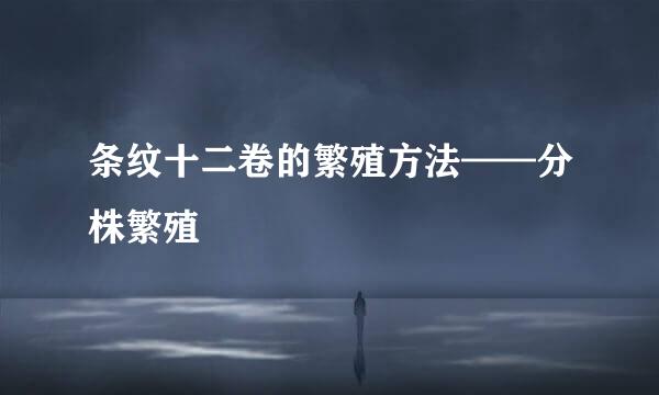 条纹十二卷的繁殖方法——分株繁殖