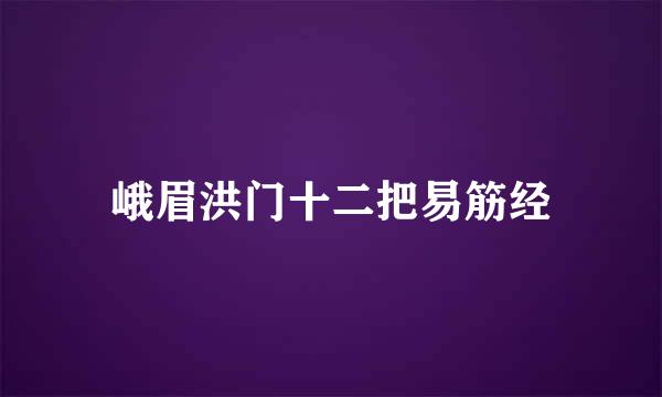 峨眉洪门十二把易筋经