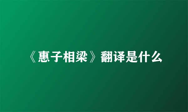 《惠子相梁》翻译是什么
