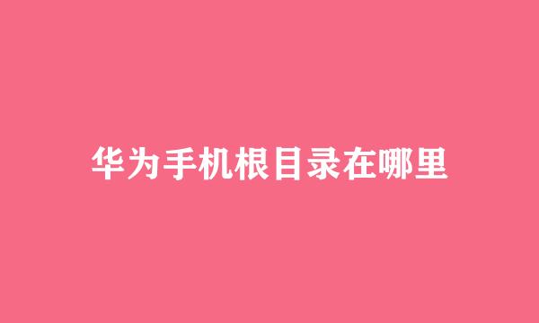 华为手机根目录在哪里