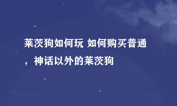 莱茨狗如何玩 如何购买普通，神话以外的莱茨狗