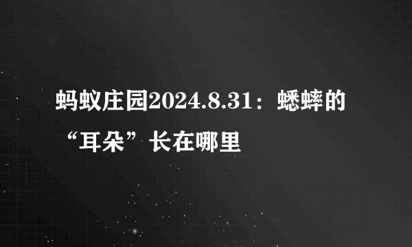 蚂蚁庄园2024.8.31：蟋蟀的“耳朵”长在哪里