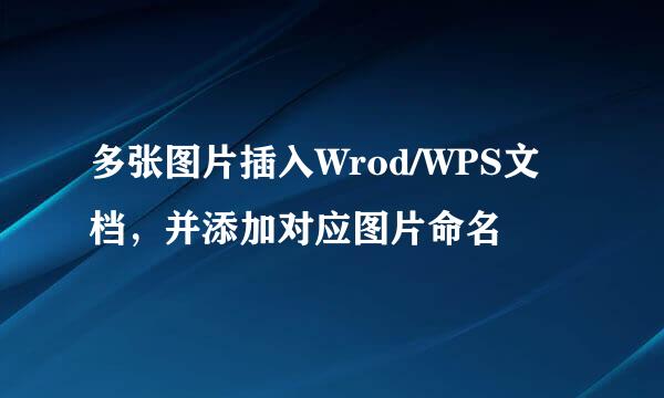多张图片插入Wrod/WPS文档，并添加对应图片命名