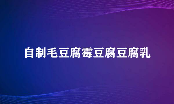 自制毛豆腐霉豆腐豆腐乳