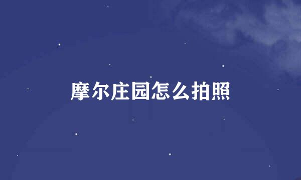 摩尔庄园怎么拍照