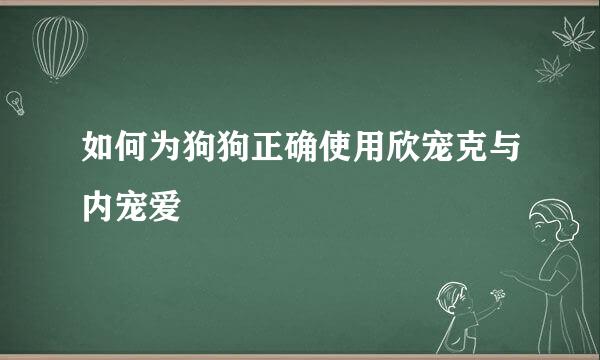 如何为狗狗正确使用欣宠克与内宠爱