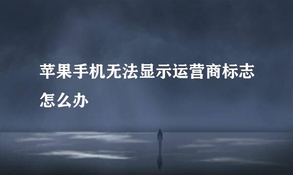 苹果手机无法显示运营商标志怎么办