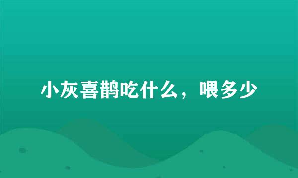 小灰喜鹊吃什么，喂多少