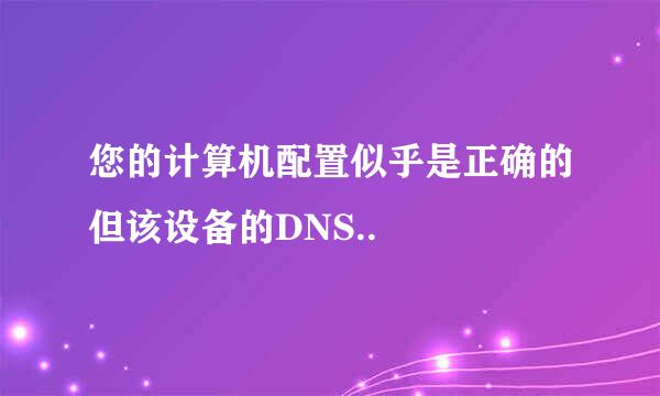 您的计算机配置似乎是正确的但该设备的DNS..