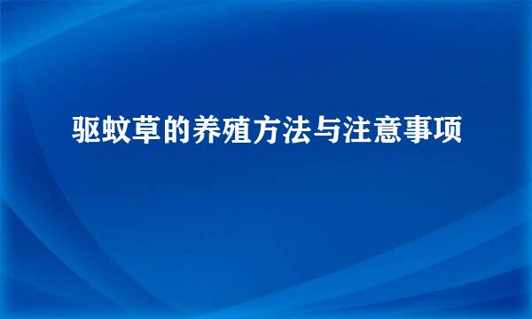 驱蚊草的养殖方法与注意事项