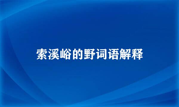 索溪峪的野词语解释