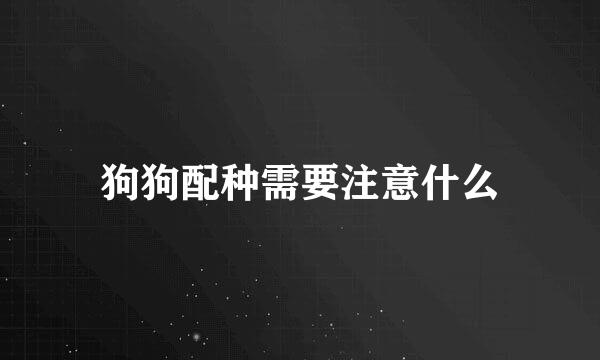 狗狗配种需要注意什么