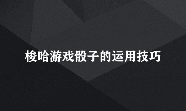 梭哈游戏骰子的运用技巧