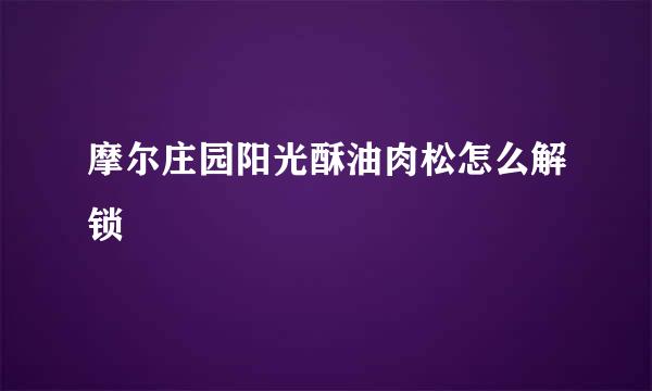 摩尔庄园阳光酥油肉松怎么解锁