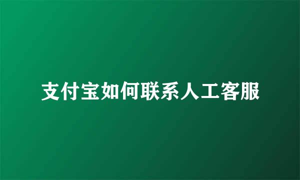支付宝如何联系人工客服