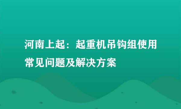 河南上起：起重机吊钩组使用常见问题及解决方案