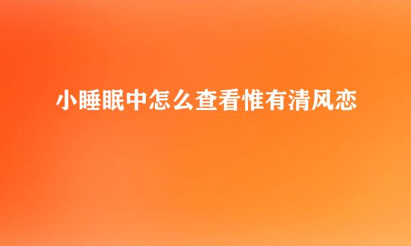 小睡眠中怎么查看惟有清风恋