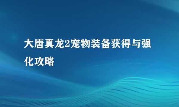大唐真龙2宠物装备获得与强化攻略