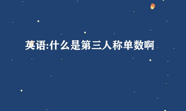 英语:什么是第三人称单数啊