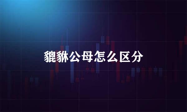 貔貅公母怎么区分
