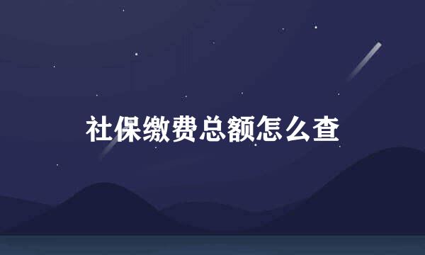 社保缴费总额怎么查