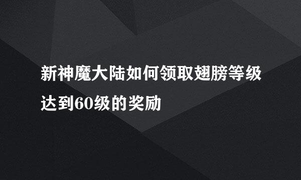 新神魔大陆如何领取翅膀等级达到60级的奖励