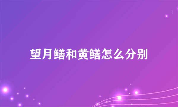 望月鳝和黄鳝怎么分别