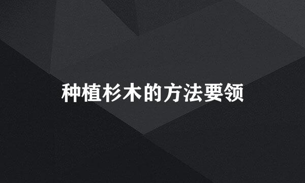 种植杉木的方法要领