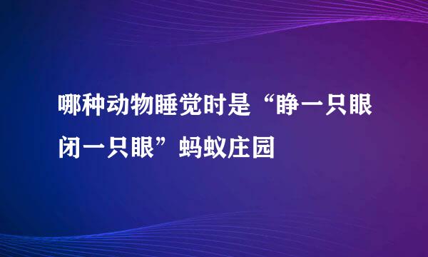 哪种动物睡觉时是“睁一只眼闭一只眼”蚂蚁庄园