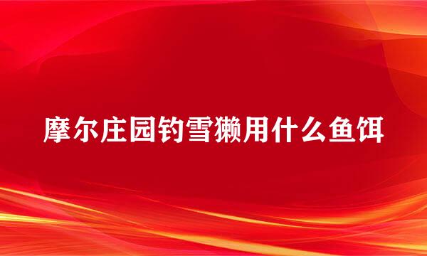 摩尔庄园钓雪獭用什么鱼饵