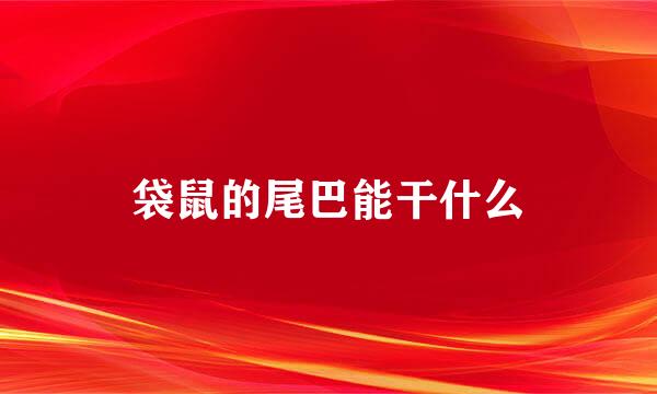 袋鼠的尾巴能干什么
