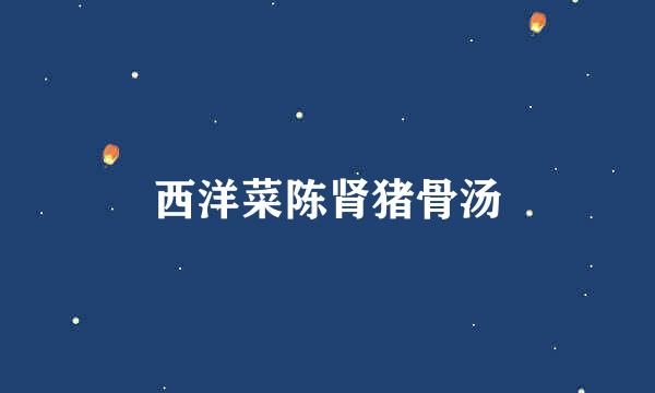 西洋菜陈肾猪骨汤