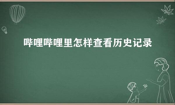 哔哩哔哩里怎样查看历史记录