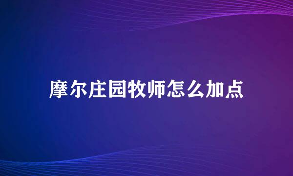 摩尔庄园牧师怎么加点