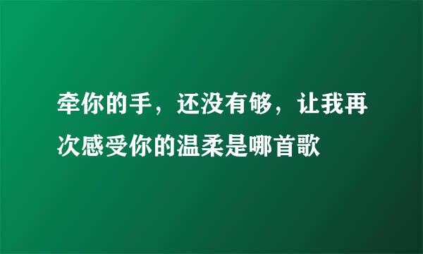 牵你的手，还没有够，让我再次感受你的温柔是哪首歌