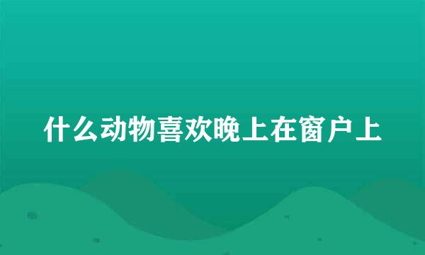 什么动物喜欢晚上在窗户上
