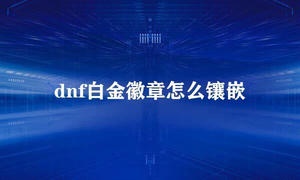 dnf白金徽章怎么镶嵌