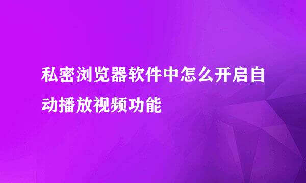 私密浏览器软件中怎么开启自动播放视频功能