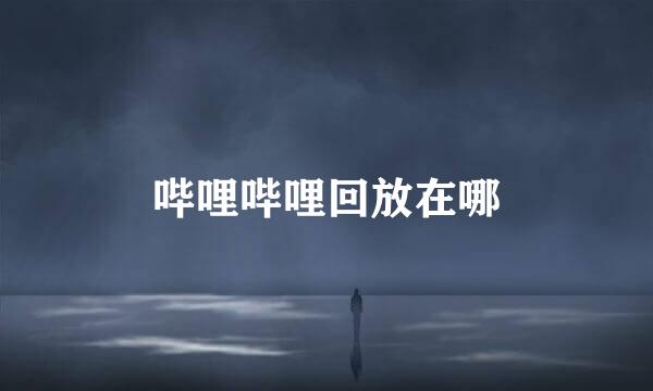 哔哩哔哩回放在哪
